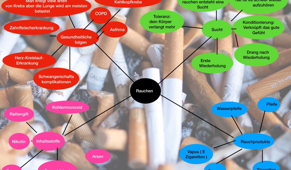 Rauche Mindmap Hamza und Damon